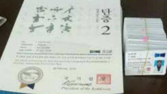 Martial Arts World Taekwondo Federation WTF Black Belt Dan Certificate with Case 