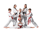 What is Taekwondo?, FAQ, ,CBSE North Zone-1 Taekwondo Championship 2018-19Taekwondo near me prices, List Black Belt Alumni