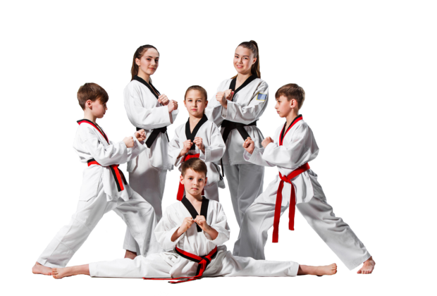 What is Taekwondo?, FAQ, ,CBSE North Zone-1 Taekwondo Championship 2018-19Taekwondo near me prices, List Black Belt Alumni