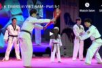 Korean taekwondo Demonstration