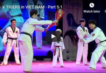 Korean taekwondo Demonstration