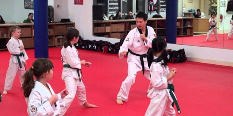 Taekwondo Classes at Your own Place in Delhi, recognized taekwondo institutes, recognized taekwondo clubs, recognized taekwondo academies, recognized taekwondo dozo,