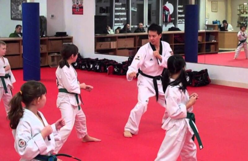 Taekwondo Classes at Your own Place in Delhi, recognized taekwondo institutes, recognized taekwondo clubs, recognized taekwondo academies, recognized taekwondo dozo,